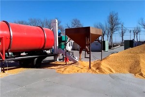 天津玉米烘干现场