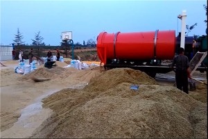 三门峡谷子烘干现场